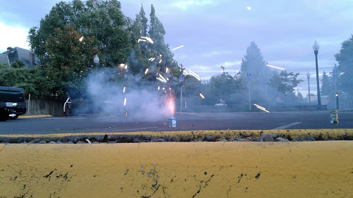 Cultural Center «Walters Cultural Arts Center», reviews and photos, 527 E Main, Hillsboro, OR 97123, USA