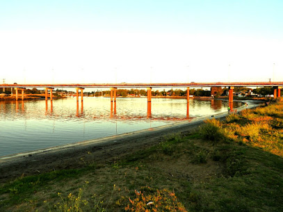 Puente Dardo Rocha
