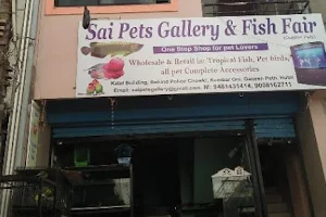 Sai Pets Gallery image