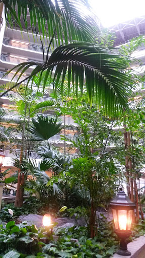 Hotel «Embassy Suites by Hilton Walnut Creek», reviews and photos, 1345 Treat Blvd, Walnut Creek, CA 94597, USA