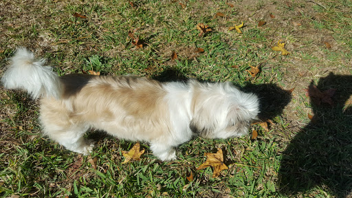 Pet Supply Store «Petco Animal Supplies», reviews and photos, 1410 N Loop 336 W, Conroe, TX 77304, USA