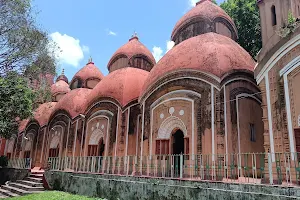 Shyamnagar Kalibari image