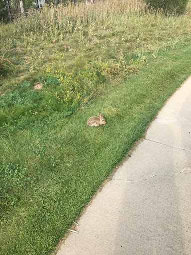 Golf Club «Omni Interlocken Golf Club», reviews and photos, 800 Eldorado Blvd, Broomfield, CO 80021, USA