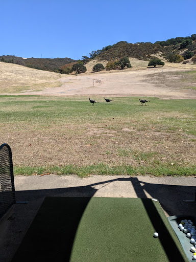 Public Golf Course «Boundary Oak Golf Course», reviews and photos, 3800 Valley Vista Rd, Walnut Creek, CA 94598, USA