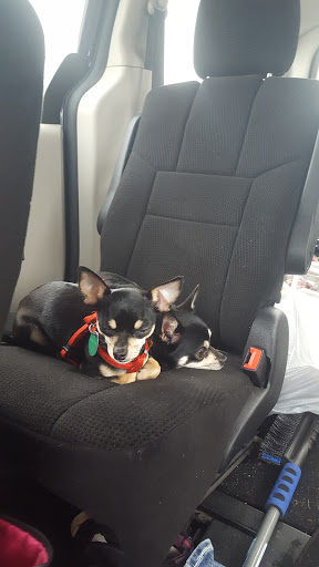 Pet Store «PetSmart», reviews and photos, 10451 Baltimore St NE, Blaine, MN 55449, USA