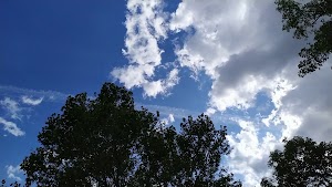 Rehm Park - photo 32