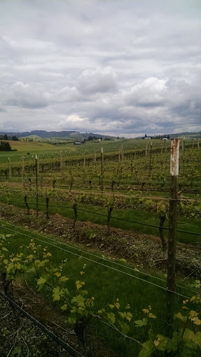 Winery «Kason Vineyards», reviews and photos, 7200 NW Bony Rd, Yamhill, OR 97148, USA