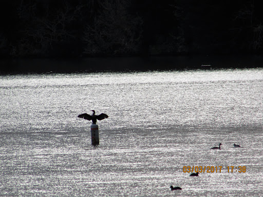 Pawn Shop «Newport Pawn Shop», reviews and photos, 224 SW Coast Hwy, Newport, OR 97365, USA