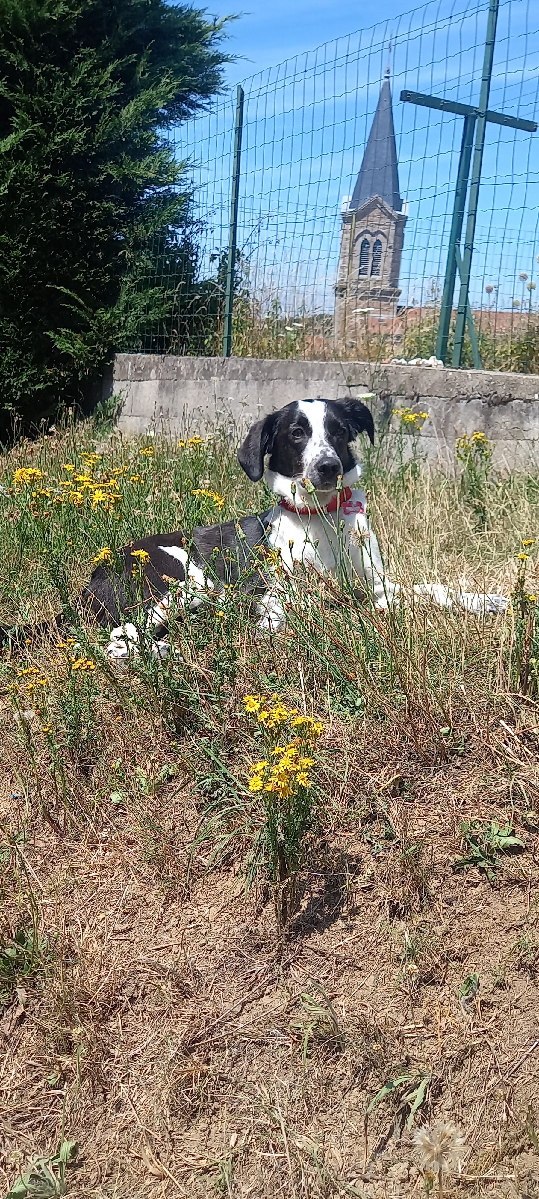 Photo n° 1 de l'avis de Claude.a fait le 16/08/2022 à 20:32