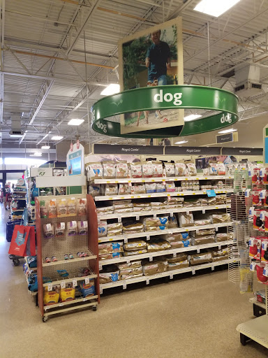 Pet Supply Store «PetSmart», reviews and photos, 466 S Watson Rd, Buckeye, AZ 85326, USA