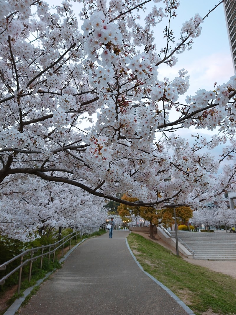 追谷墓園