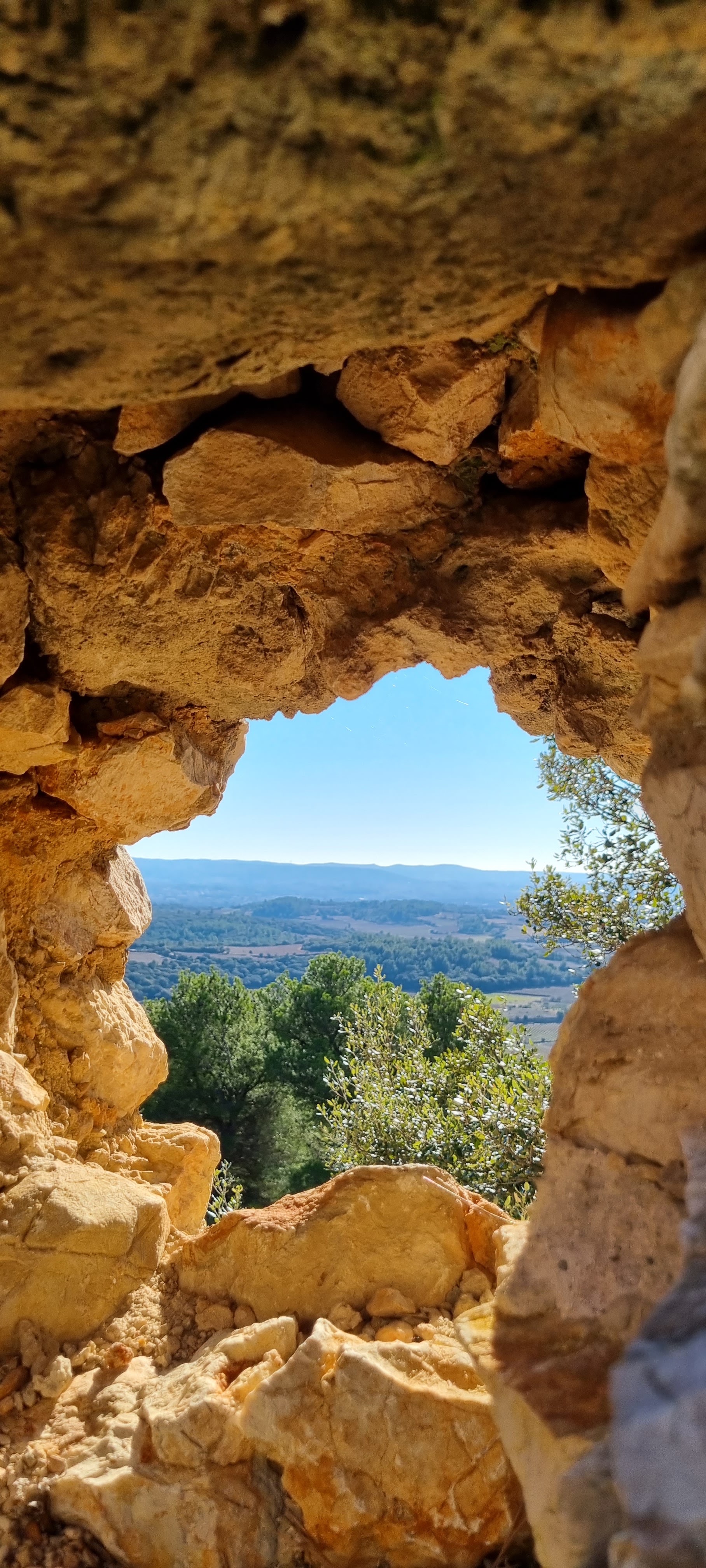 Photo n° 5 de l'avis de Thirion.e fait le 23/01/2022 à 13:02