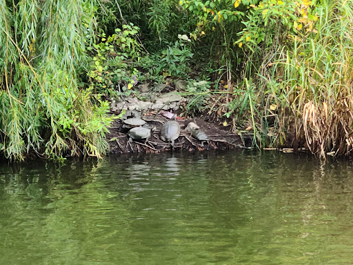 Park «Indian Boundary Park», reviews and photos, 2500 W Lunt Ave, Chicago, IL 60645, USA