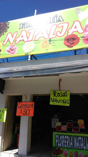 Florería Natalia – Villa de Álvarez