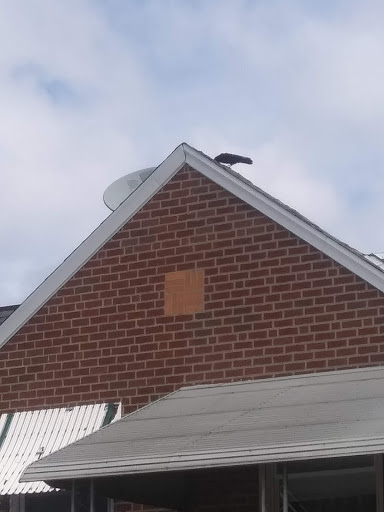 Laundromat «L&Z Laundry», reviews and photos, 6825 Frankford Ave, Philadelphia, PA 19135, USA