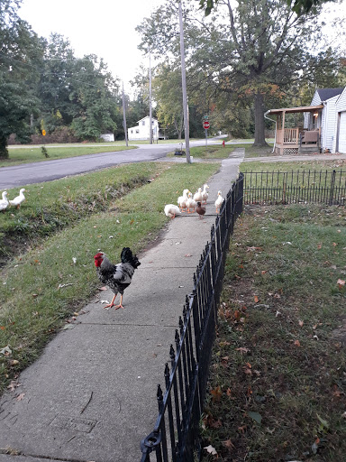 Department Store «Rural King», reviews and photos, 430 Oberlin Rd, Elyria, OH 44035, USA