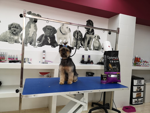 Owanda El Barrio de las Mascotas Sevilla