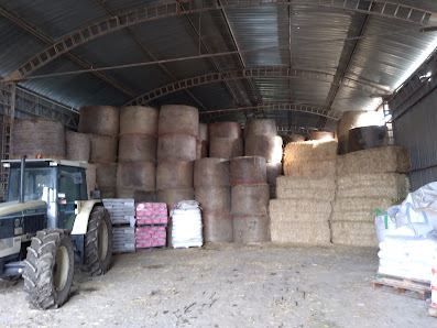 Azienda Agricola Giuseppe Maria - Via Le Cese, 1 Campo Volo Umberto Nobile, Contrada Le Cese, Frazione Casamari, 81037 Sessa Aurunca CE, Italia