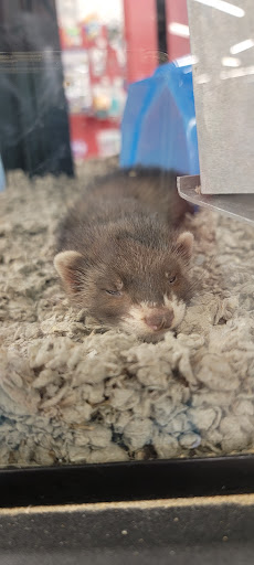 Pet Supply Store «Petco Animal Supplies», reviews and photos, 2520 E 3rd St, Bloomington, IN 47401, USA