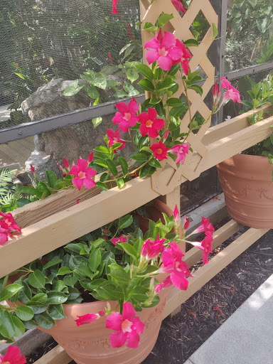 Tourist Attraction «Butterfly World», reviews and photos, 3600 W Sample Rd, Coconut Creek, FL 33073, USA