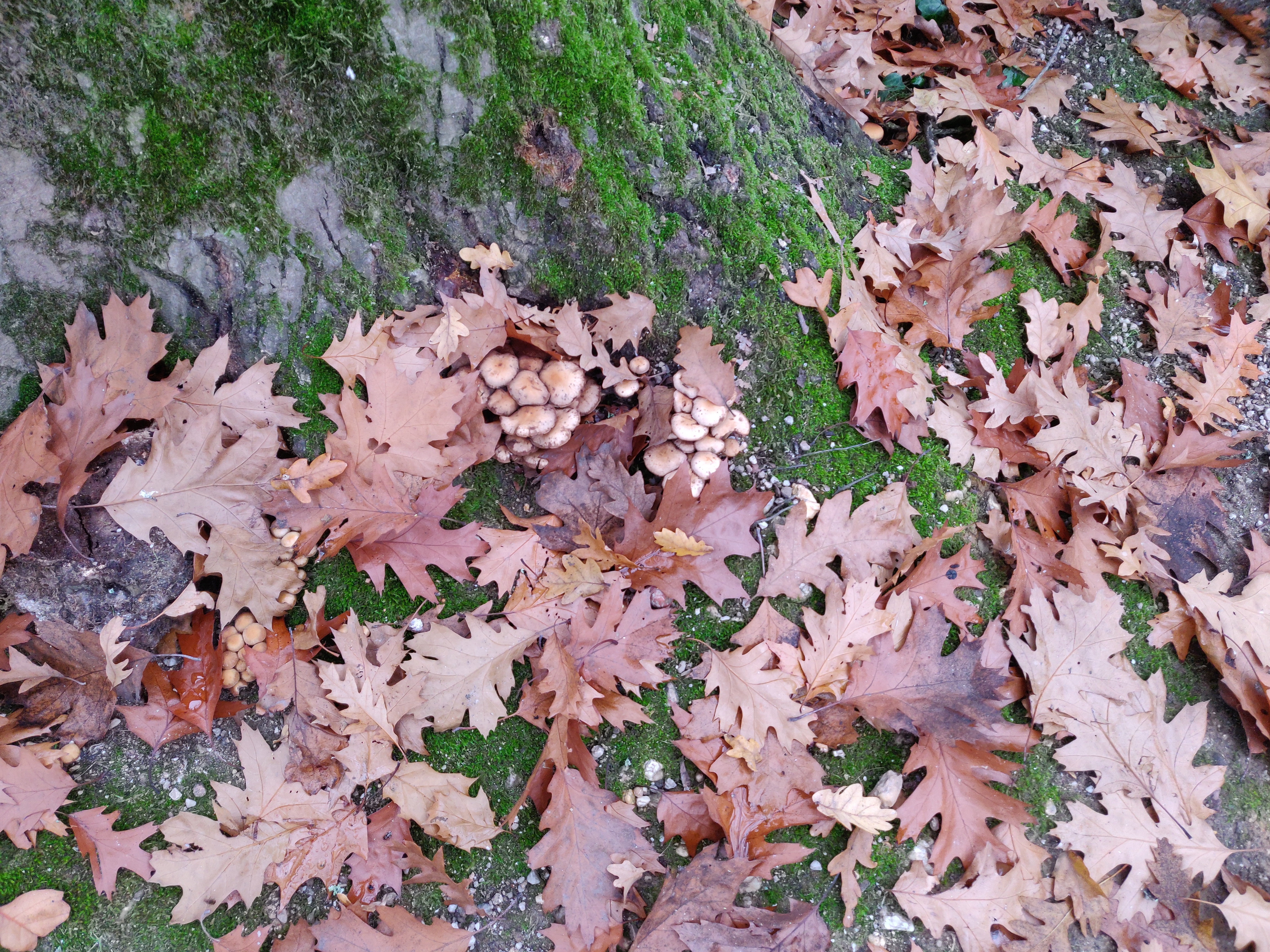 Photo n° 4 de l'avis de Joelle.a fait le 13/11/2021 à 17:44
