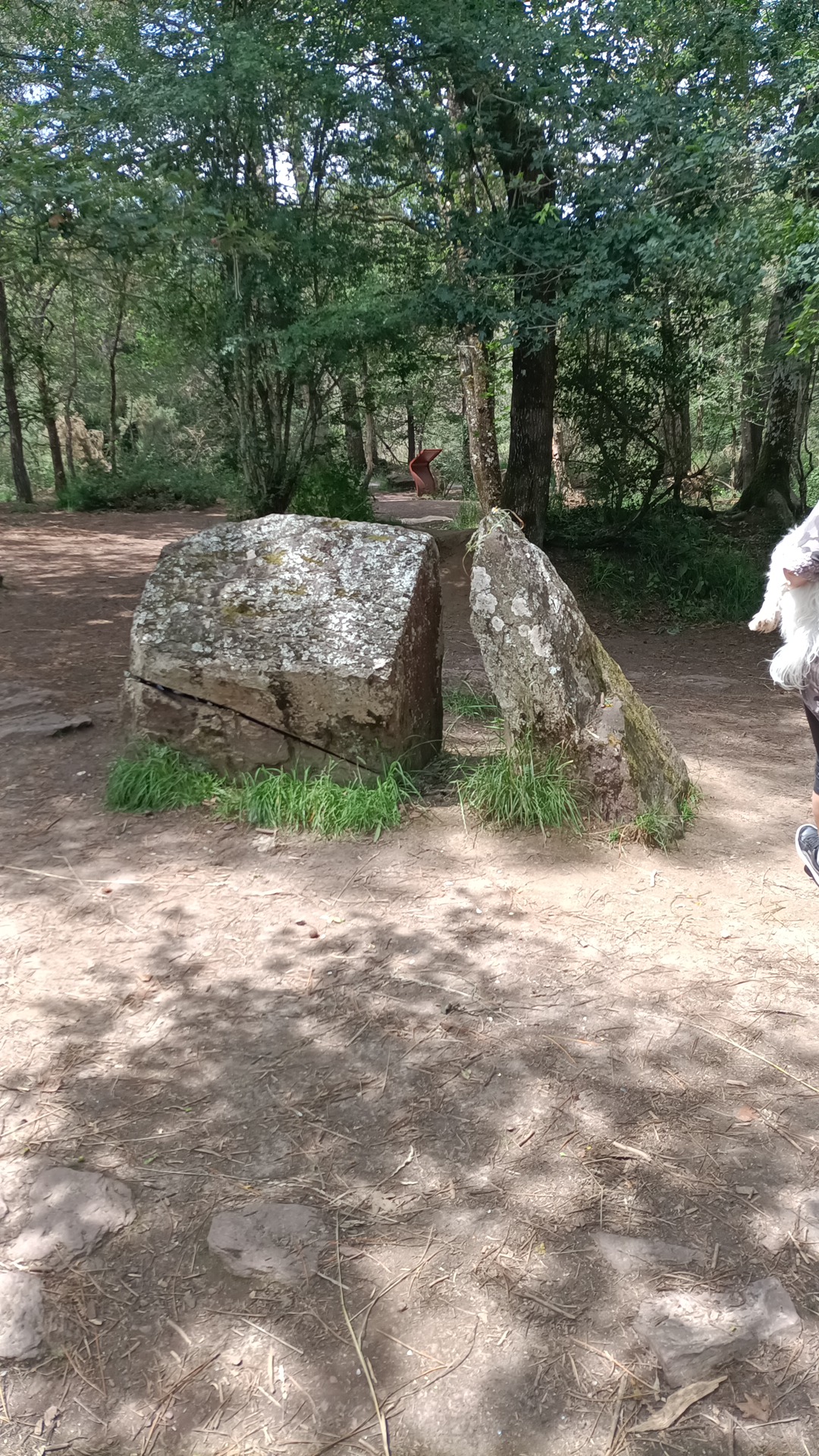Photo n° 1 de l'avis de Anaxymene.e fait le 20/06/2023 à 12:22