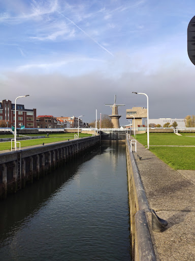 Ups offices Rotterdam