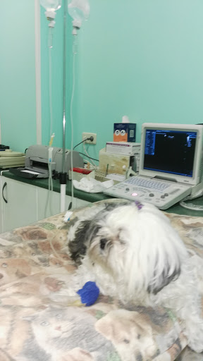 Centro Veterinario El Juncal en Torrejón de Ardoz