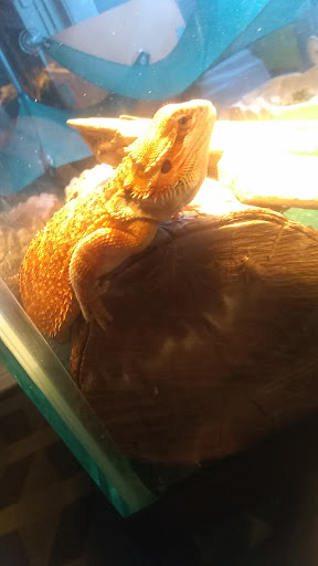 Pet Store «Birds & Beasts Pet Shop», reviews and photos, 35 Berkshire Dr # 18, Crystal Lake, IL 60014, USA