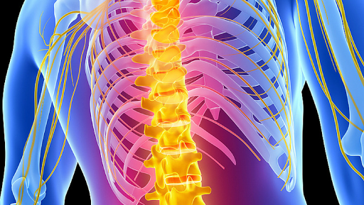 237 W Midland Ave, Paramus, NJ 07652, USA