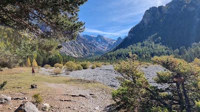 Réserve Naturelle Communale du Val d'Escreins à Vars