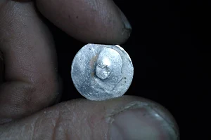 Missouri Coin Co Inc image