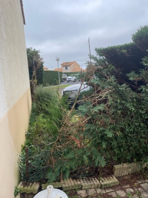 Photo n° 2 de l'avis de Cé. fait le 14/11/2023 à 11:52