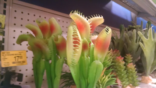 Pet Supply Store «PetSmart», reviews and photos, 79375 CA-111, La Quinta, CA 92253, USA