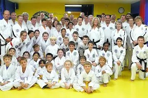 Mountain View Martial Arts and Fitness image