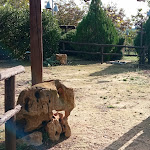 Photo n°5 de l'avis de gaetanomandarino. fait le 11/10/2022 à 15:35 sur le  Agriturismo La Fattoria di San Francesco à Pietraperzia