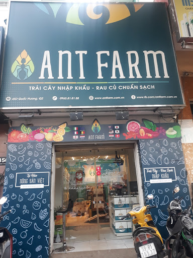 Ant Farm Shop