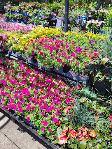 Department Store «Walmart Supercenter», reviews and photos, 2251 IN-54, Linton, IN 47441, USA