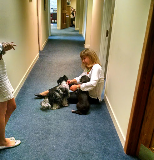 Law Firm «Tucker Griffin Barnes P.C.», reviews and photos