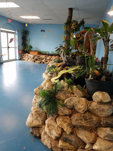 Tropical Fish Store «The Hidden Reef, Inc», reviews and photos, 4501 New Falls Rd, Levittown, PA 19056, USA