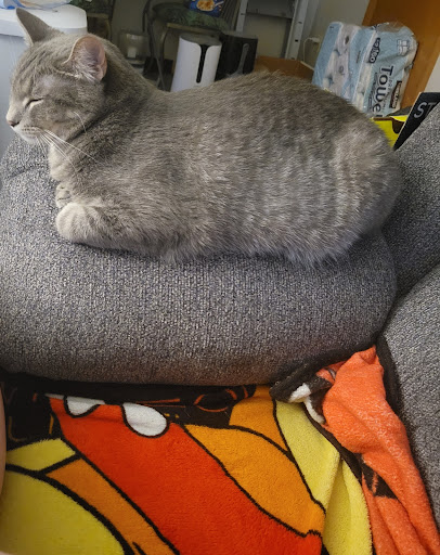 Furniture Store «Geneva Discount Furniture», reviews and photos, 5640 W Broadway Ave, Crystal, MN 55428, USA