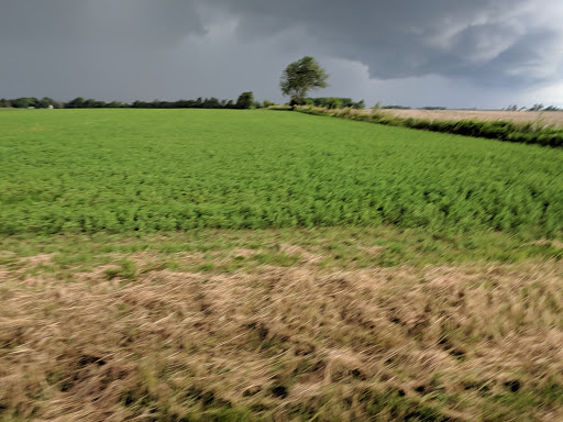 Golf Club «Wolf Hollow Golf Course», reviews and photos, 6546 N Shippee Rd, Lena, IL 61048, USA