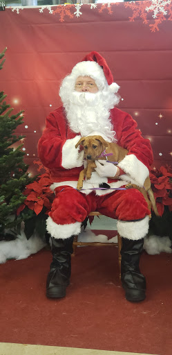 Garden Center «Chesterton Feed & Garden Center», reviews and photos, 400 Locust St, Chesterton, IN 46304, USA