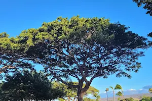 Wai'ula'ula at Mauna Kea Resort image