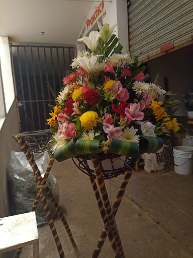 Florería Salazar 2 – Sultepec de Pedro Ascencio de Alquisiras