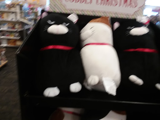 Book Store «Books-A-Million», reviews and photos, 1101 N Berkeley Blvd, Goldsboro, NC 27534, USA