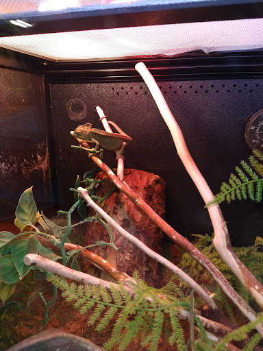 Pet Supply Store «PetSmart», reviews and photos, 745 W Huntington Dr, Monrovia, CA 91016, USA