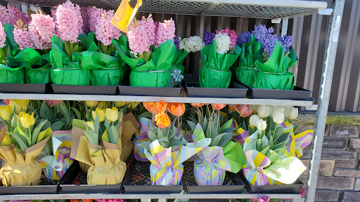 Hardware Store «Lakewood Hardware & Paint, Inc», reviews and photos, 9020 Lakewood Dr SW, Lakewood, WA 98499, USA