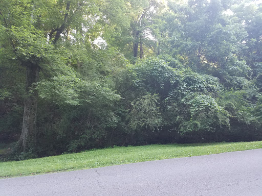 Golf Course «Shelby Golf Course», reviews and photos, 2021 Fatherland St, Nashville, TN 37206, USA