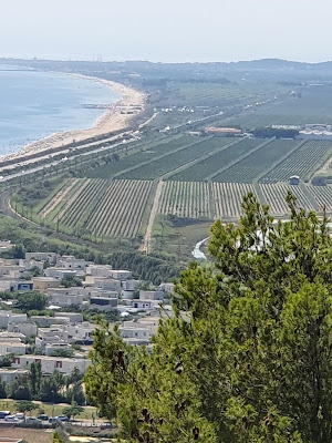 Forêt des Pierres Blanches à Sète